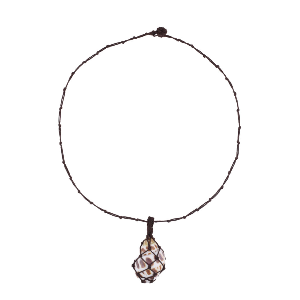 Astra Shell Necklace