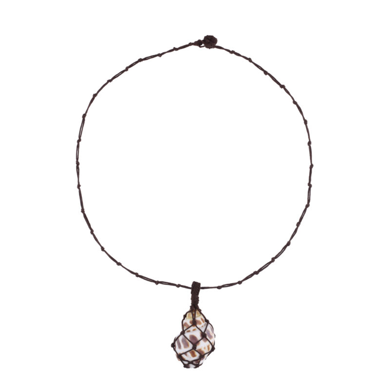 Astra Shell Necklace